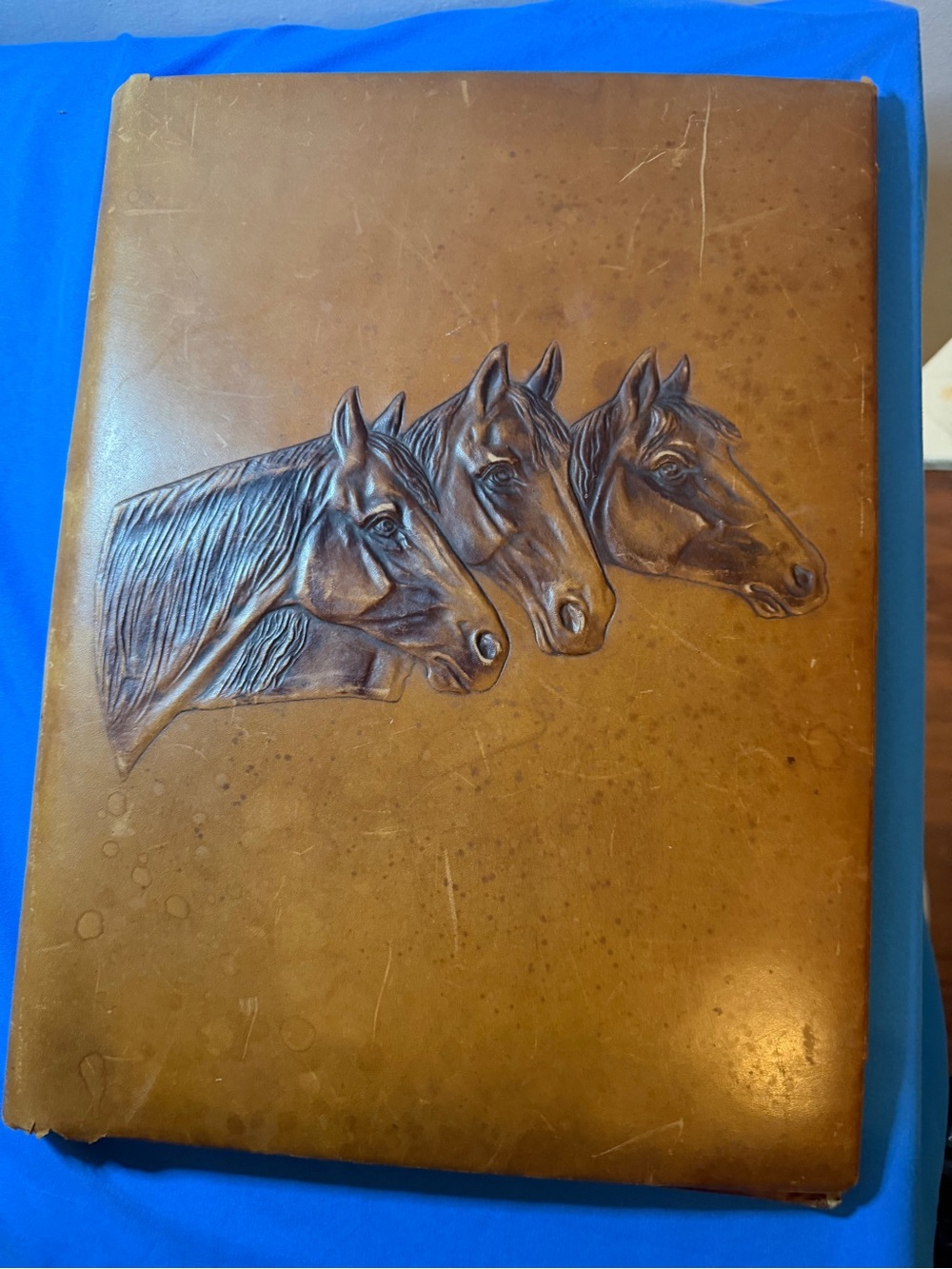 Antique Embossed Leather Desk Blotter Portfolio Folio –Moiré Silk & Horse Relief